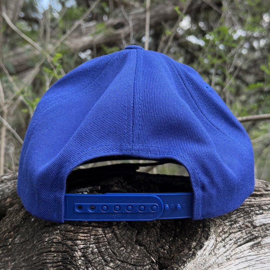 dnaz snapback